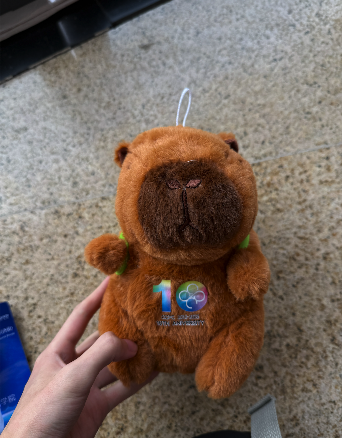 image-20251118112030419